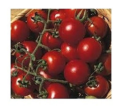 Premium 10-Pack Fruit Seeds - Grow Delicious Clusters of 8-12 Fruits | Sweet & Juicy Flavor | Perfect for Home Gardens, Organic Farming & Fresh Snacking
