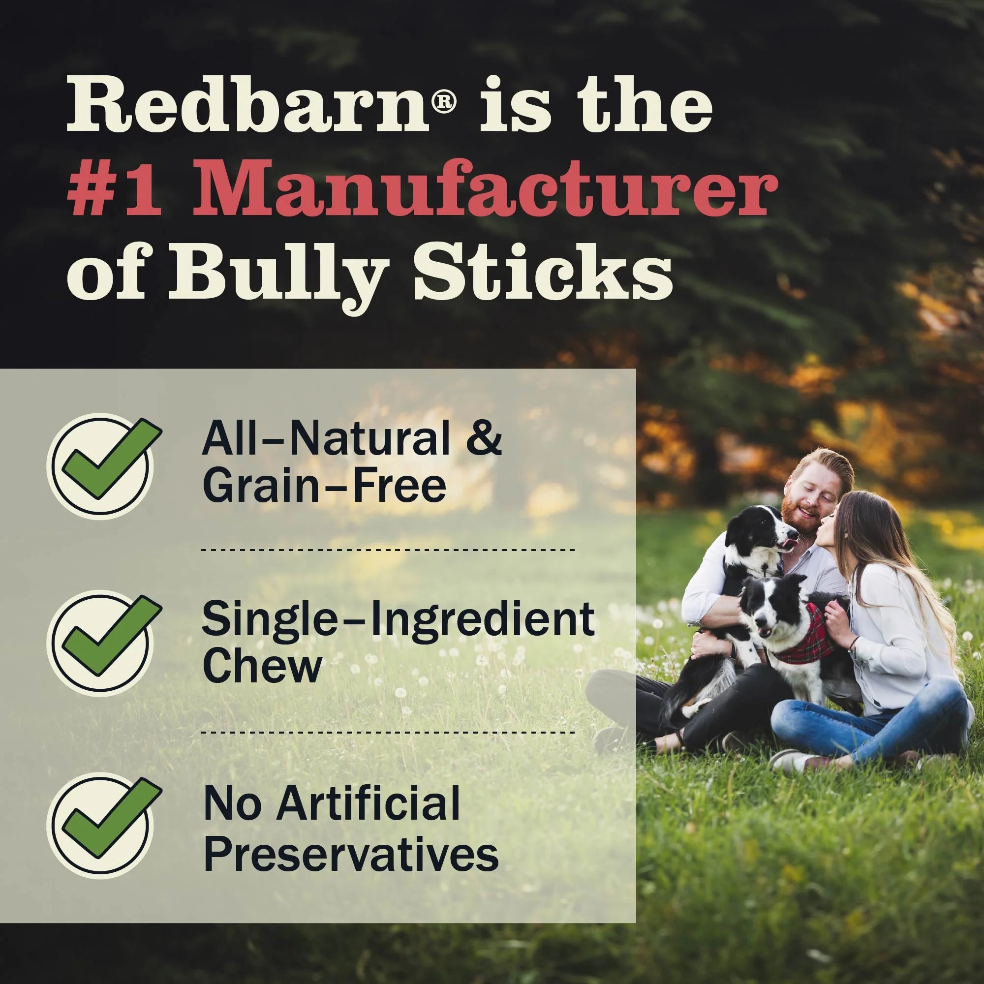 Redbarn Bully Bites 10oz - Natural Dog Chews for Small & Large Breeds - Long-Lasting Dental Treats for Puppies & Adult Dogs - Perfect for Training, Teething & Oral Health Care