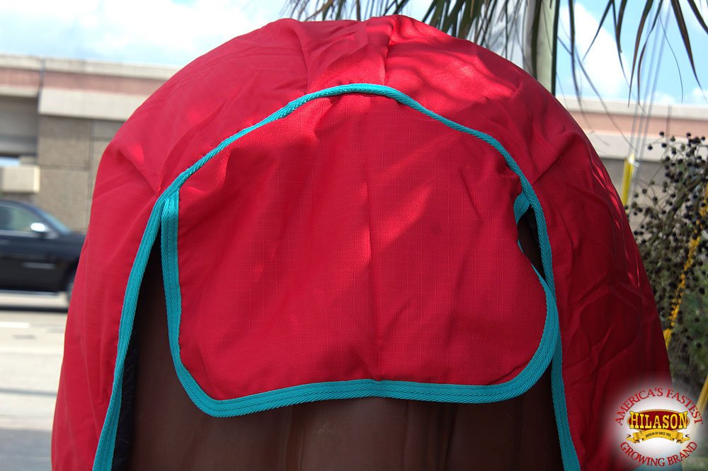 HILASON 1200D Winter Waterproof Horse Blanket with Belly Wrap - Heavy Duty Turnout Rug for Cold Weather - 66 Inch Warm & Waterproof Horse Coat - Ideal for Pasture, Riding & Stable Use