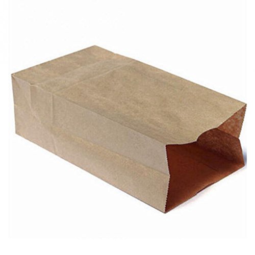 QQ Extra Small Brown Kraft Paper Bags 3x2x6 Inches - 100 Pack | Eco-Friendly Party Favors, Wedding Favor Bags, Lunch Bags & Grocery Bags | Perfect for Gifts, Snacks & Small Items Storage