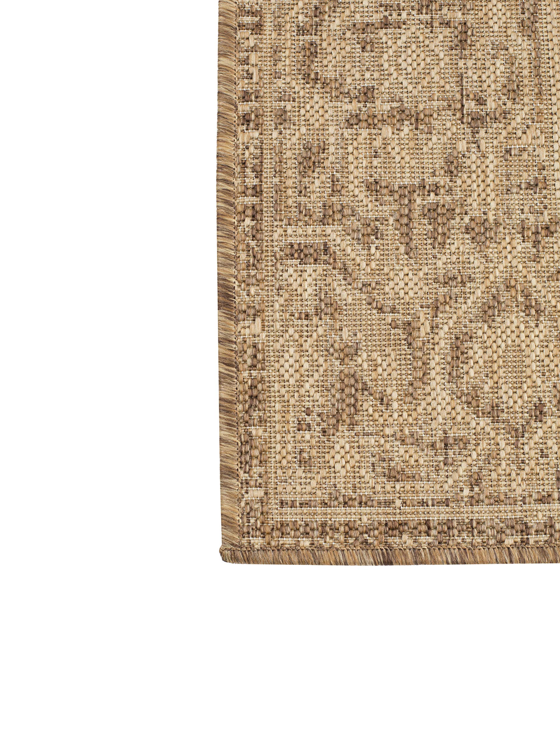 Persian Style Outdoor Area Rug 7'10