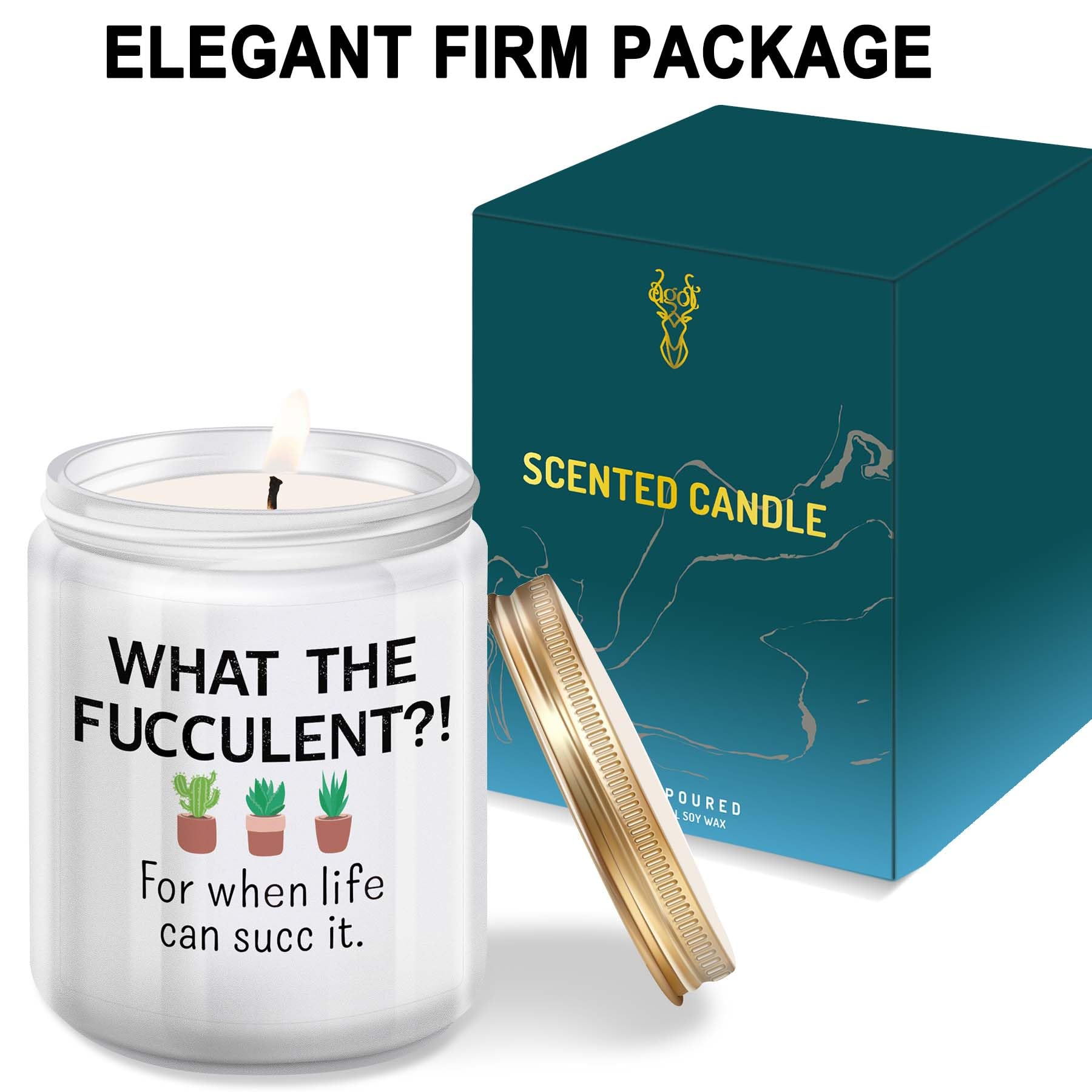 Funny & Unique Gifts for Women - Cactus Succulents & Lemongrass Sage Candles (7oz) - Perfect Birthday, Christmas, Friendship Presents for BFF, Sister, Female Coworker, or Men - Ideal for Home Decor, Relaxation, and Thoughtful Gestures