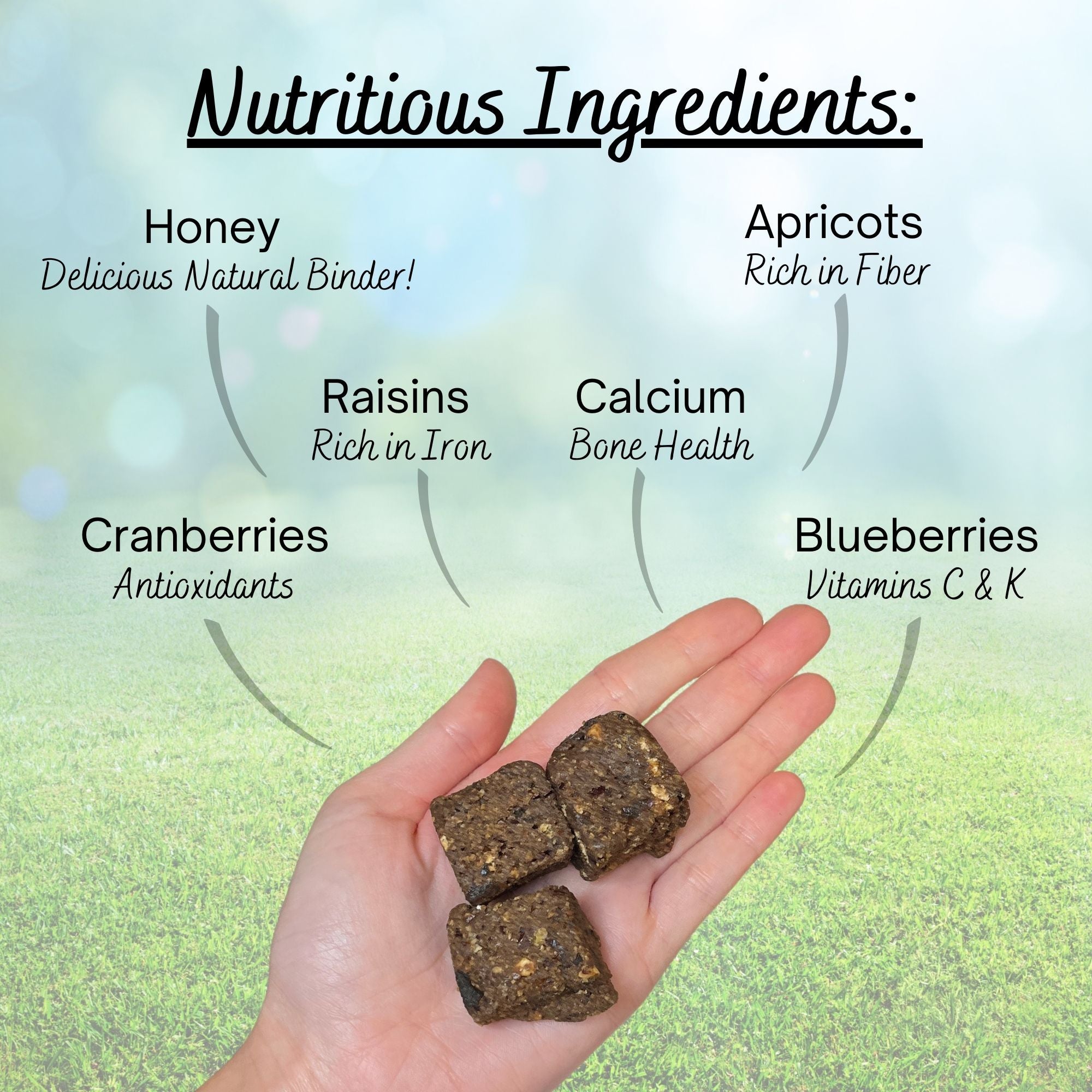 Delicious Berry Bites - Sweet & Tangy Dried Fruit Snacks for Healthy On-the-Go Energy | Perfect for Lunchboxes, Hiking & Office Snacking