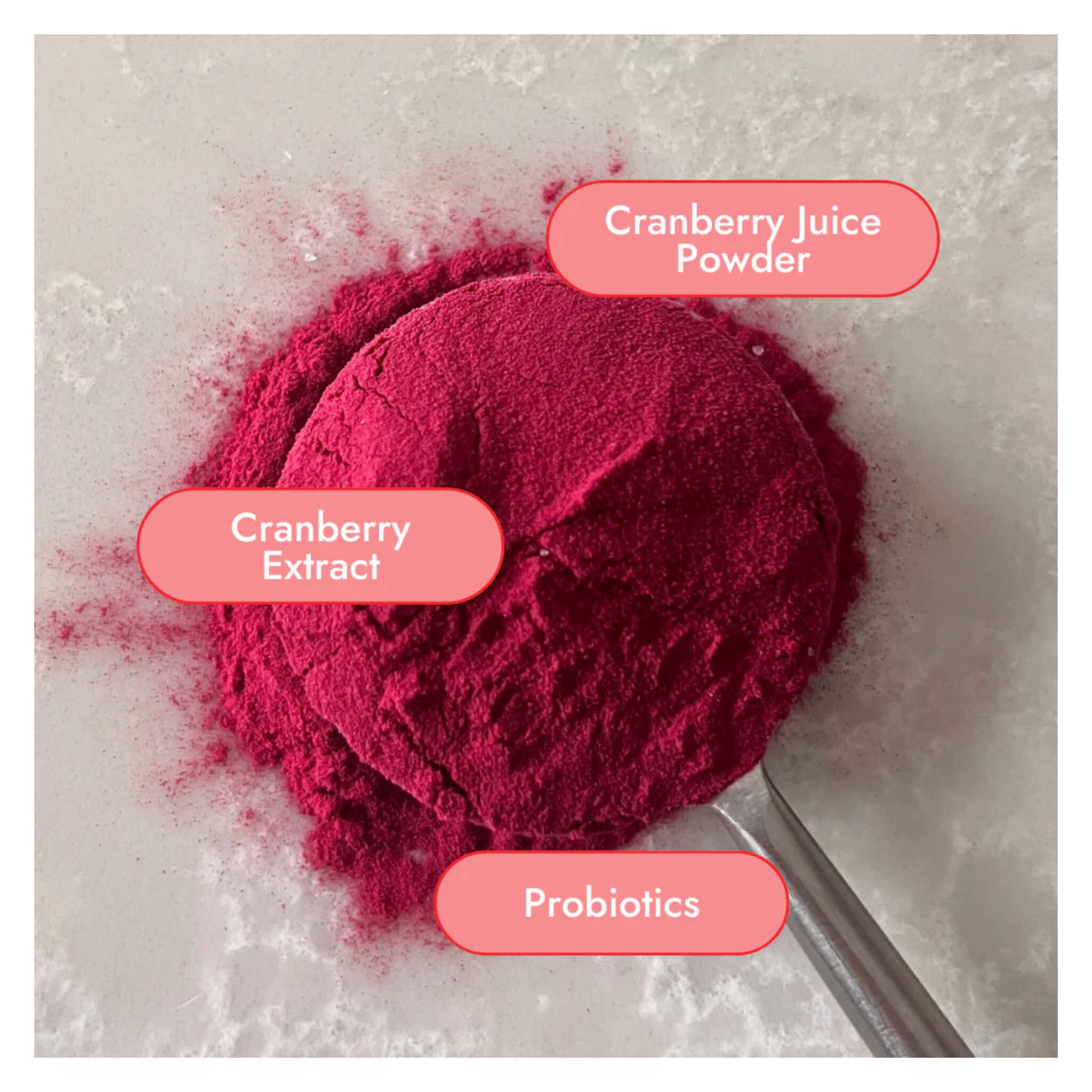 Premium Cranberry Supplement for Daily Wellness - Supports Urinary Tract & Immune Health - Natural Antioxidant Boost - Perfect for Women's Health & Active Lifestyles