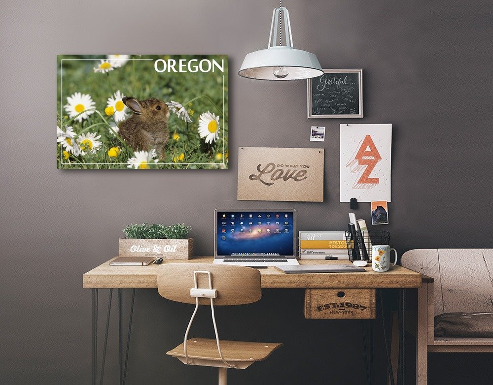 Lantern Press Baby Cottontail Rabbit Oregon Wall Art - 16x24 Wrapped Canvas Print for Nursery, Kids Room & Home Decor - Cute Bunny Painting for Bedroom, Living Room & Office