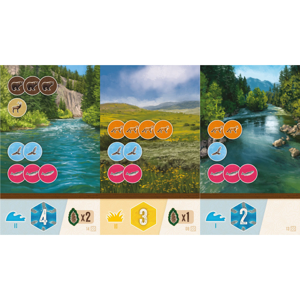 AEG Cascadia Rolling Rivers Dynamic Dice Habitat Board Game - Perfect for Family Game Nights & Strategy Enthusiasts