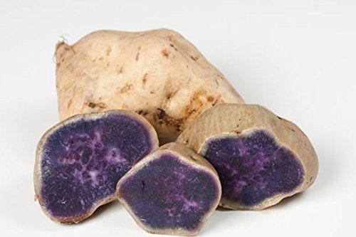 Organic Japanese Purple Sweet Potato (4 lbs) - Okinawan Non-GMO Fresh Sweet Potatoes for Baking, Roasting, Smoothies & Vegan Recipes | Healthy Breakfast, Baby Food & Weight Loss | Perfect for Thanksgiving, Christmas & Holiday Cooking | Great for Smoothie Bowls, Gluten-Free Diets & Healthy Meal Prep | Ideal for Vegan Baking, Holiday Meals & Nutrient-Rich Snacks