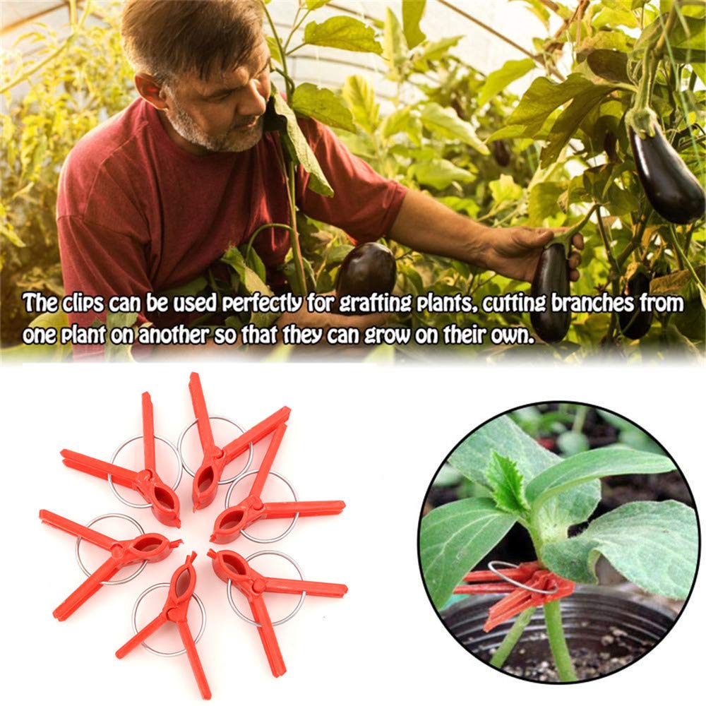 100PCS Plastic Round Mouth Grafting Clips for Plants - Gardening Tool for Cucumber, Eggplant, Tomato, Watermelon - Ideal for Home Garden, Greenhouse & Plant Propagation