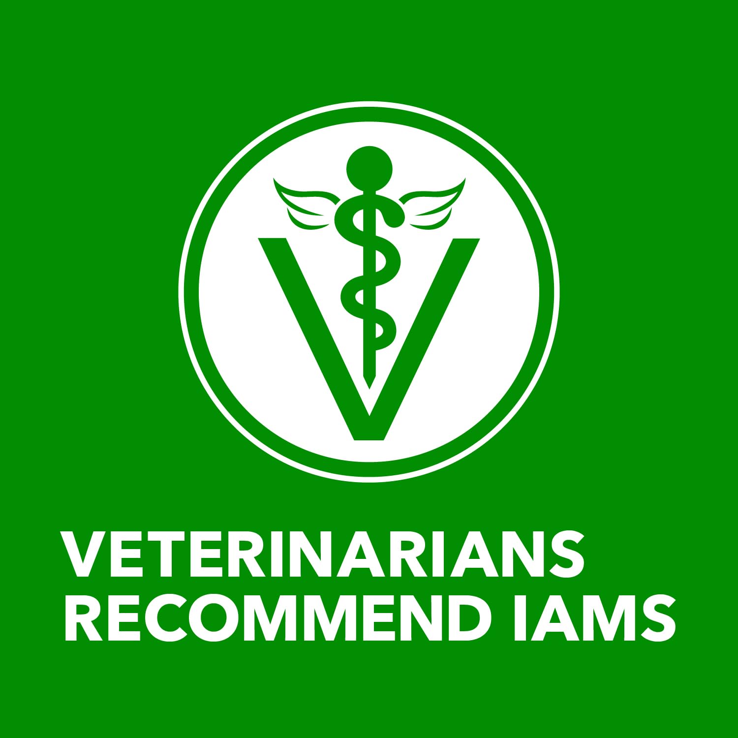 Iams Proactive Health Adult Wet Dog Food - Classic Ground Chicken & Rice Recipe, 13 oz Can - High Protein Meal for Active Dogs, Perfect for Training & Outdoor Adventures