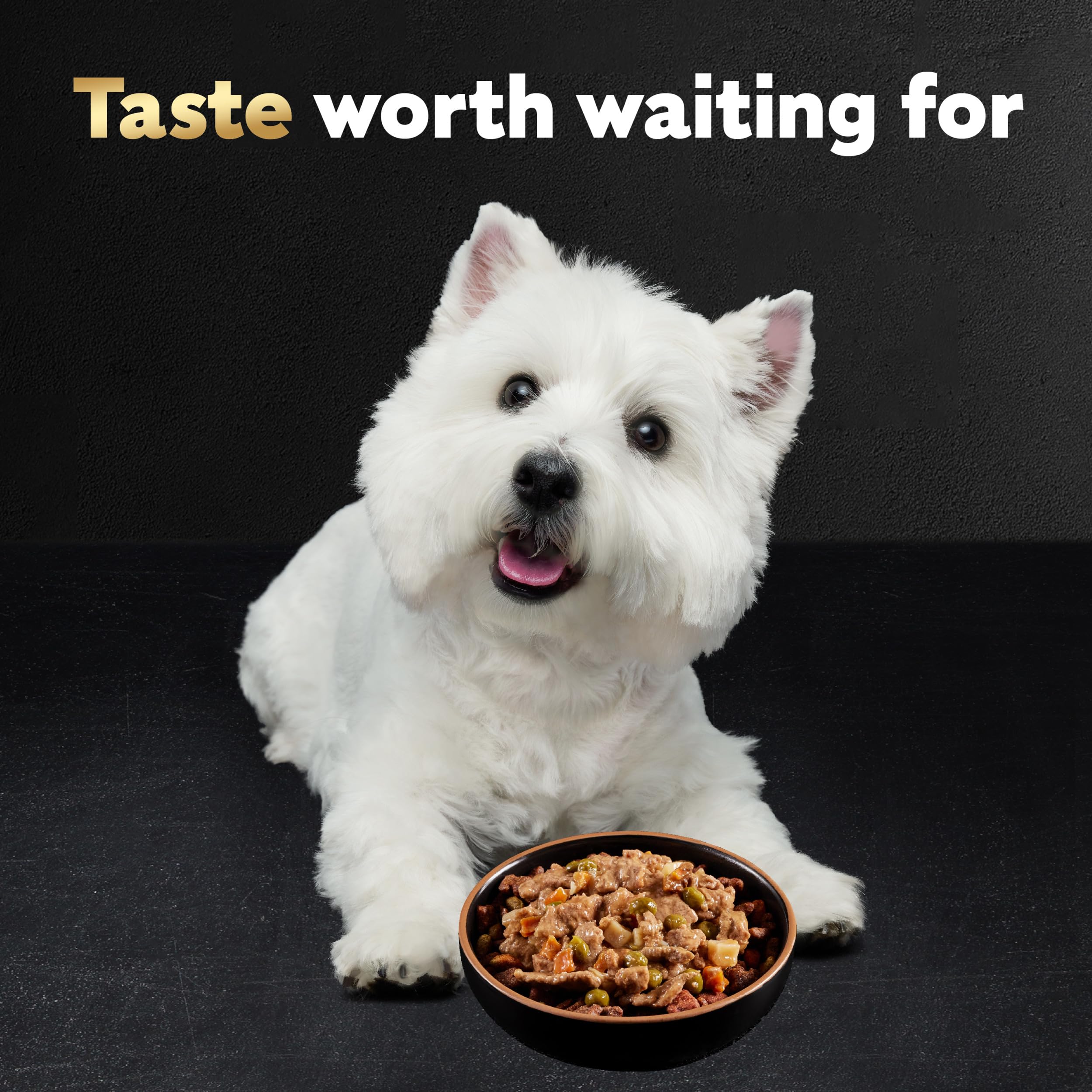 Premium CESAR HOME DELIGHTS Adult Wet Dog Food - Slow Cooked Chicken & Vegetables in Savory Sauce, 3.5 oz Easy-Peel Trays (Pack of 24) | Perfect for Mealtime, Training Rewards & Senior Dogs