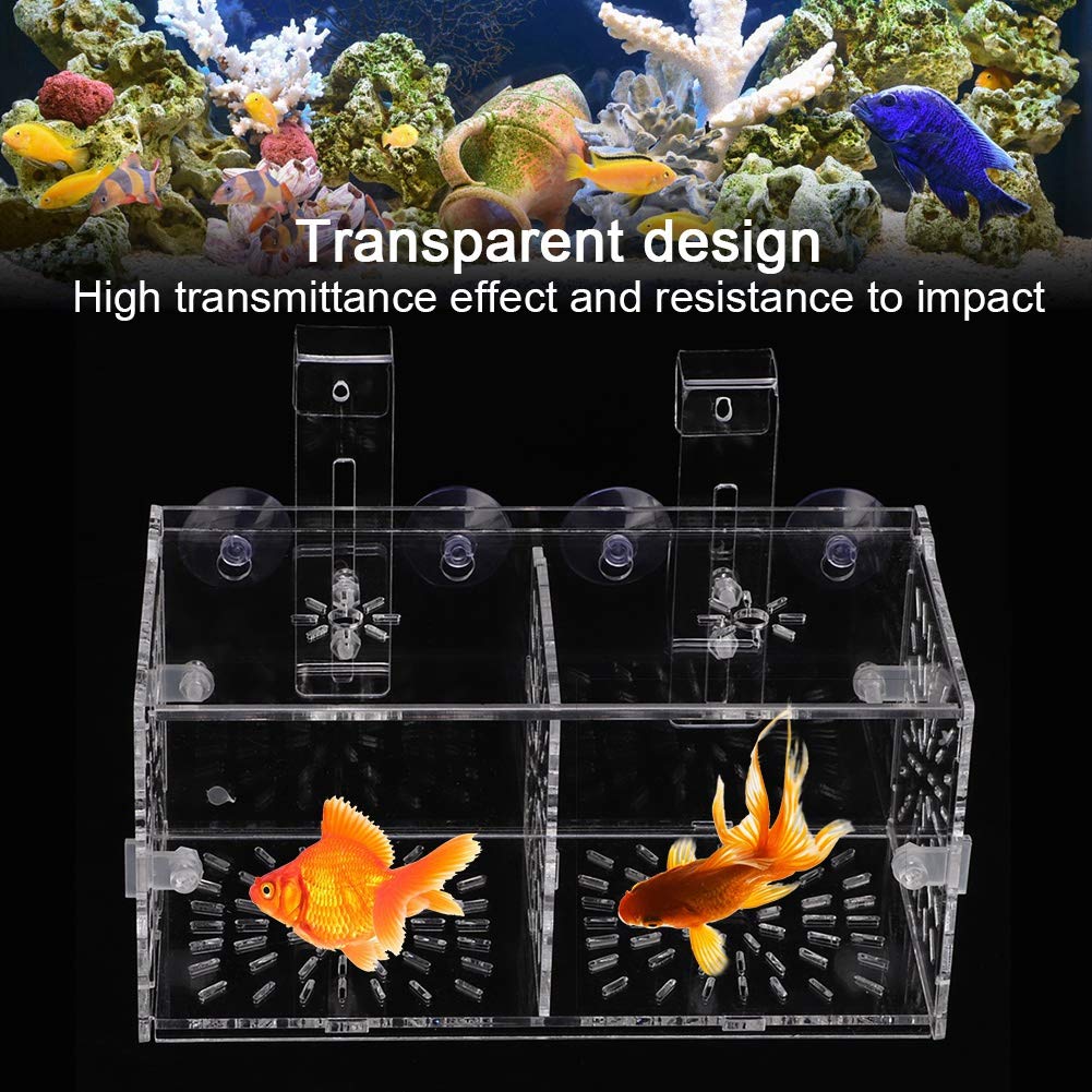 Rosvola Transparent Fish Isolation Box - 20cm x 10cm x 10cm Aquarium Hatchery for Fish Breeding, Egg Incubation & Fry Protection | Perfect for Freshwater & Saltwater Tanks, Hospital Tanks, and Breeding Tanks