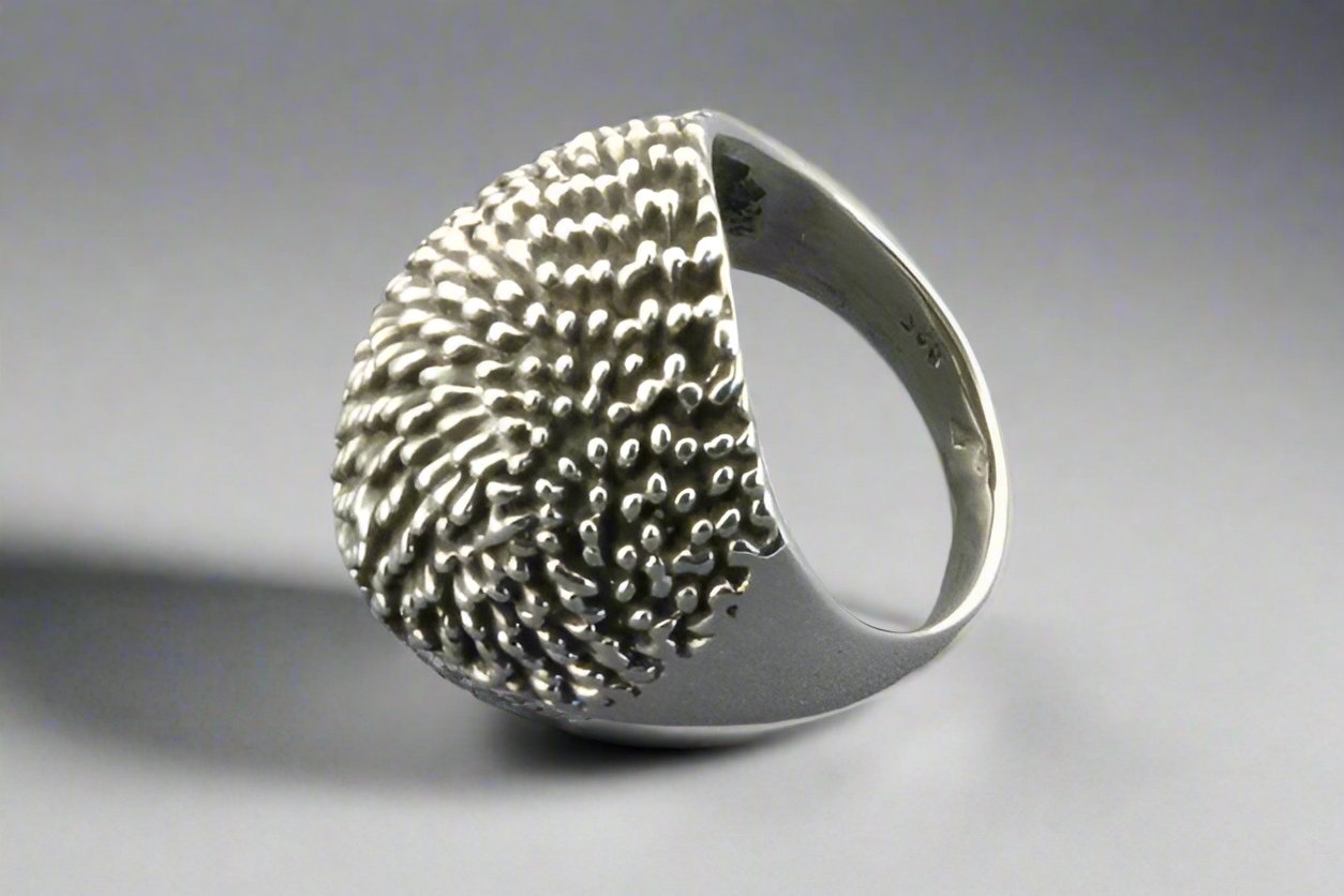 Sterling Silver Echidna Signet Ring for Men & Women - Unique Animal Jewelry Gift for Nature Lovers, Fashion Statement & Everyday Wear