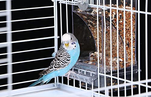 Automatic No-Mess Bird Feeder - Hanging Bird Cage Accessories for Parakeets, Canaries, Cockatiels & Finches - Perfect for Outdoor & Indoor Bird Watching