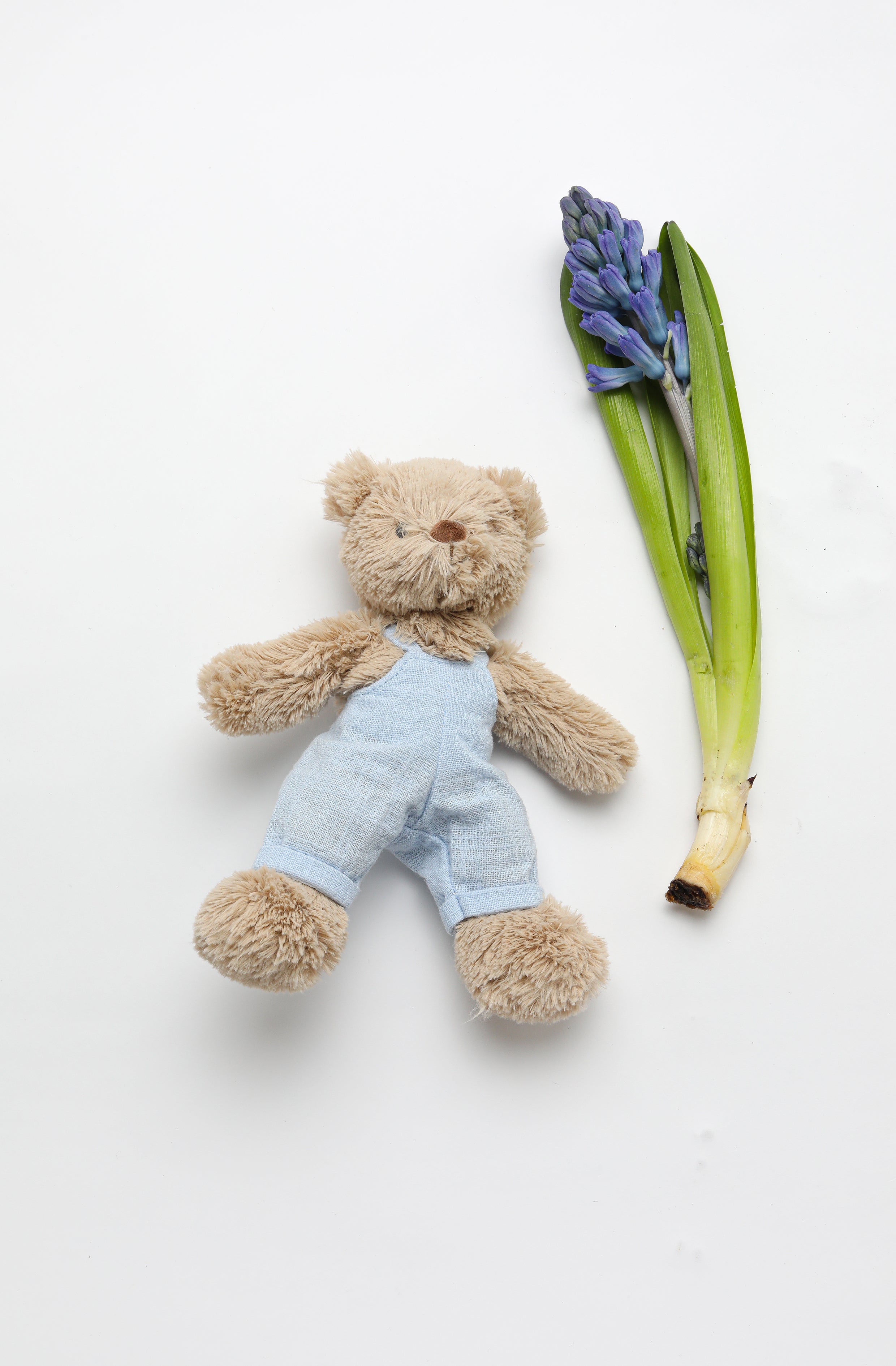 Adorable Baby Honey Bear Overalls in Soft Baby Blue - Perfect for Newborn Photoshoots, Playdates & Special Occasions