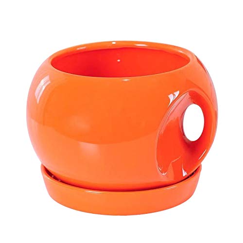 Corldif Ceramic Flower Pot for Succulents - Breathable Ventilated Planter with Drainage Hole, Orange - Perfect for Indoor Plants, Home Decor, and Garden Planting