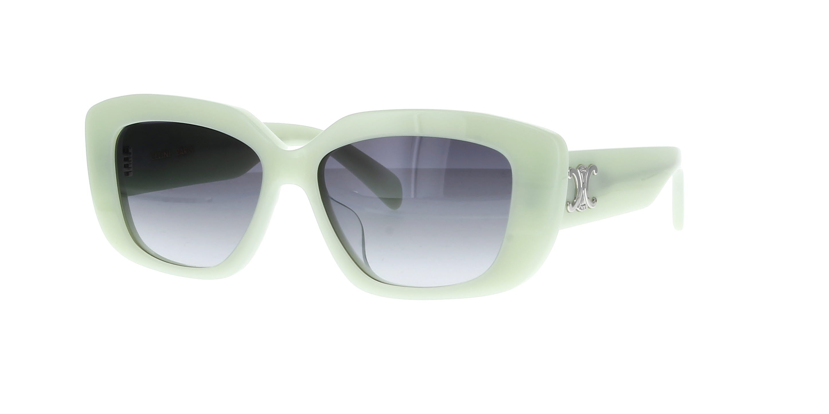 Shiny Light Green/Brown Gradient