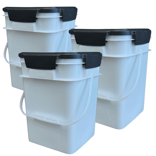 White - Black lids