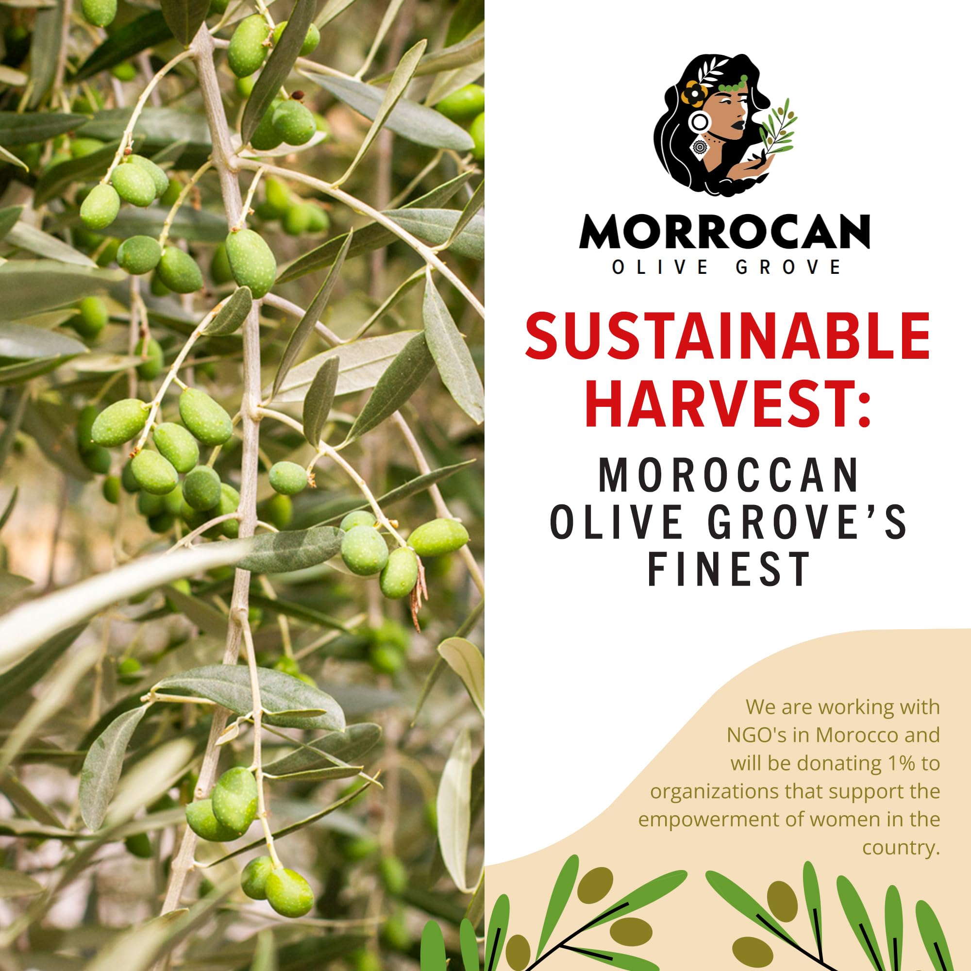 Premium Picholine Pitted Green Olives from Moroccan Olive Grove - Handpicked Gourmet Olives, Traditionally Cured, Natural Flavor Enhancer (2-Pack, 700g/Jar) - Perfect for Charcuterie Boards, Mediterranean Recipes & Healthy Snacking