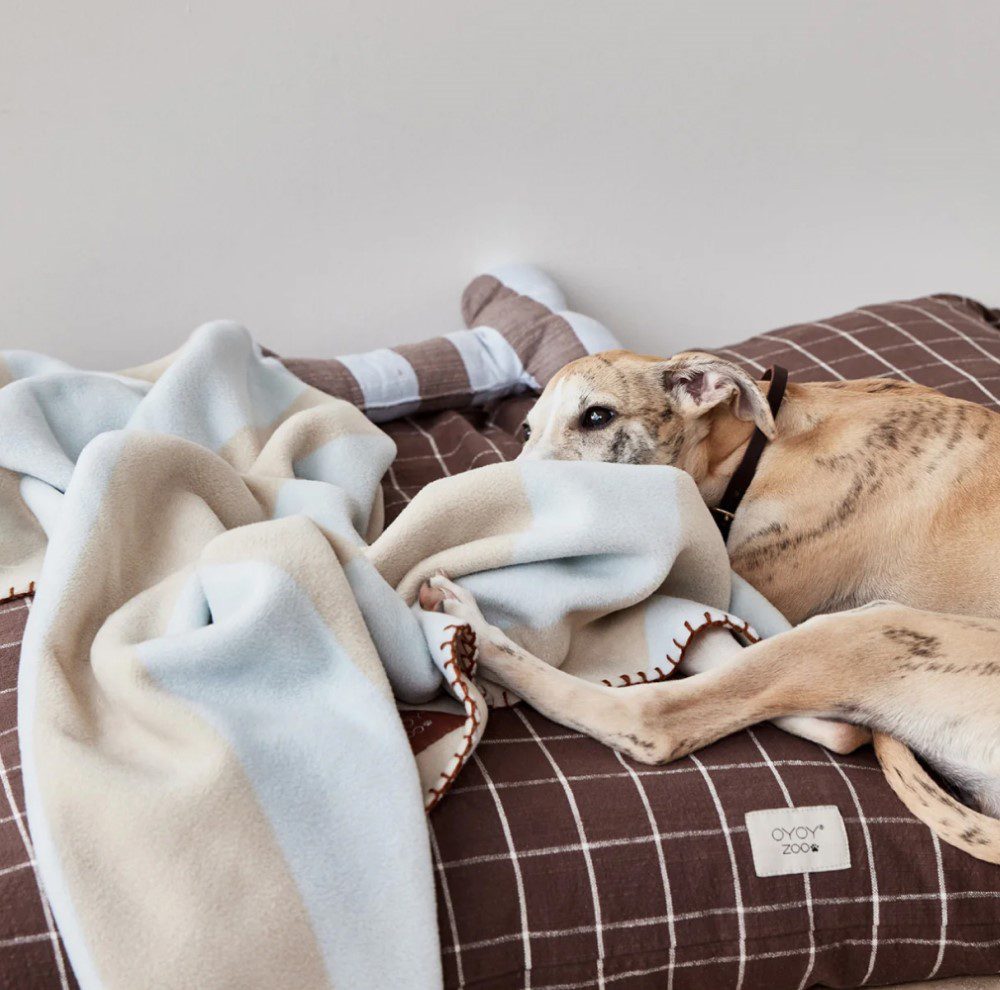 OYOY ZOO Kaya Dog Blanket - Soft & Cozy Pet Blanket for Dogs & Cats, Ice Blue, 2 Sizes (Small & Large) - Perfect for Couch, Bed & Travel Use