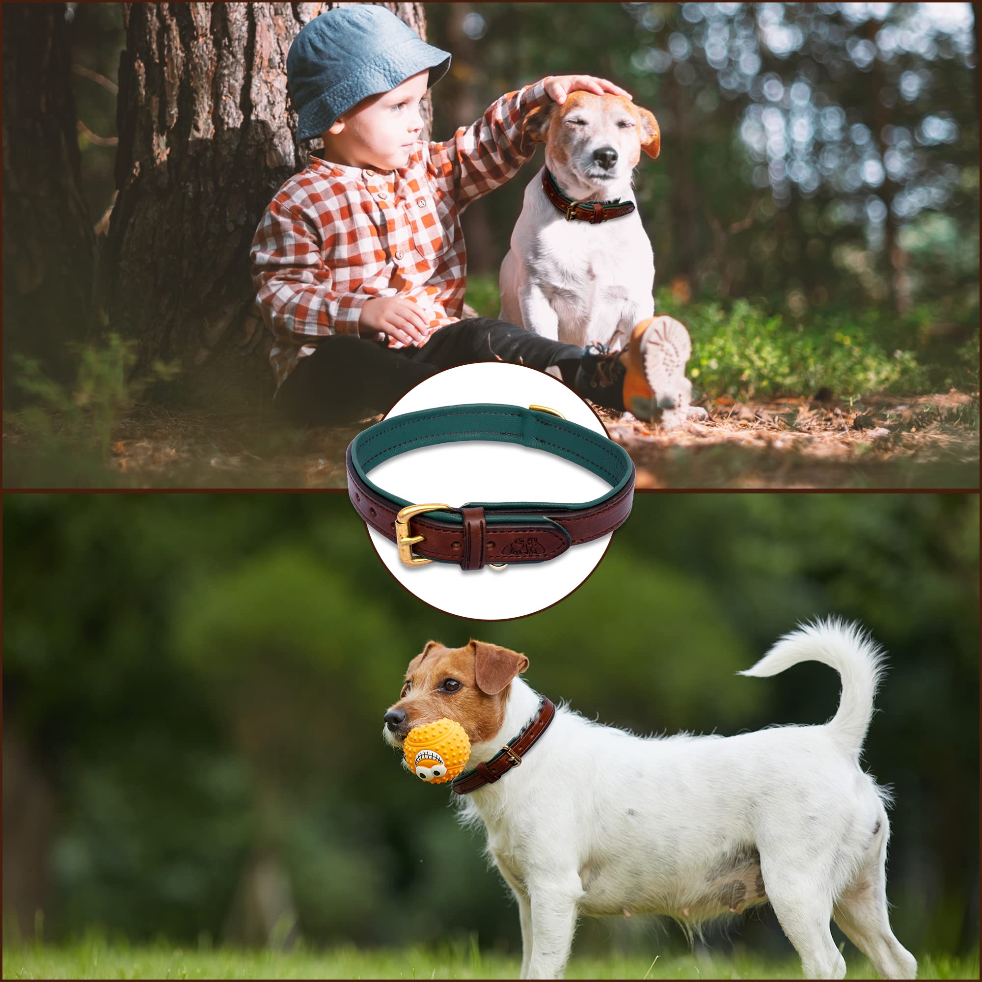 Premium Padded Leather Dog Collar with Brass Buckle - X-Small Size for Small Breeds | Comfortable & Durable Pet Accessory for Daily Walks, Training & Fashion