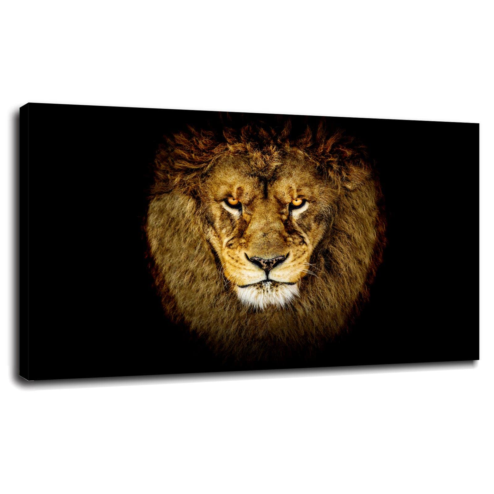 Lion Canvas Wall Art - 42