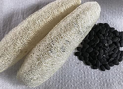 Organic Non-GMO Dishrag Gourd Seeds - Smooth Luffa Sponge for Exfoliating & Cleaning | Heirloom Vegetable Seeds for Planting | Perfect for Gardeners, DIY Beauty & Eco-Friendly Home Use