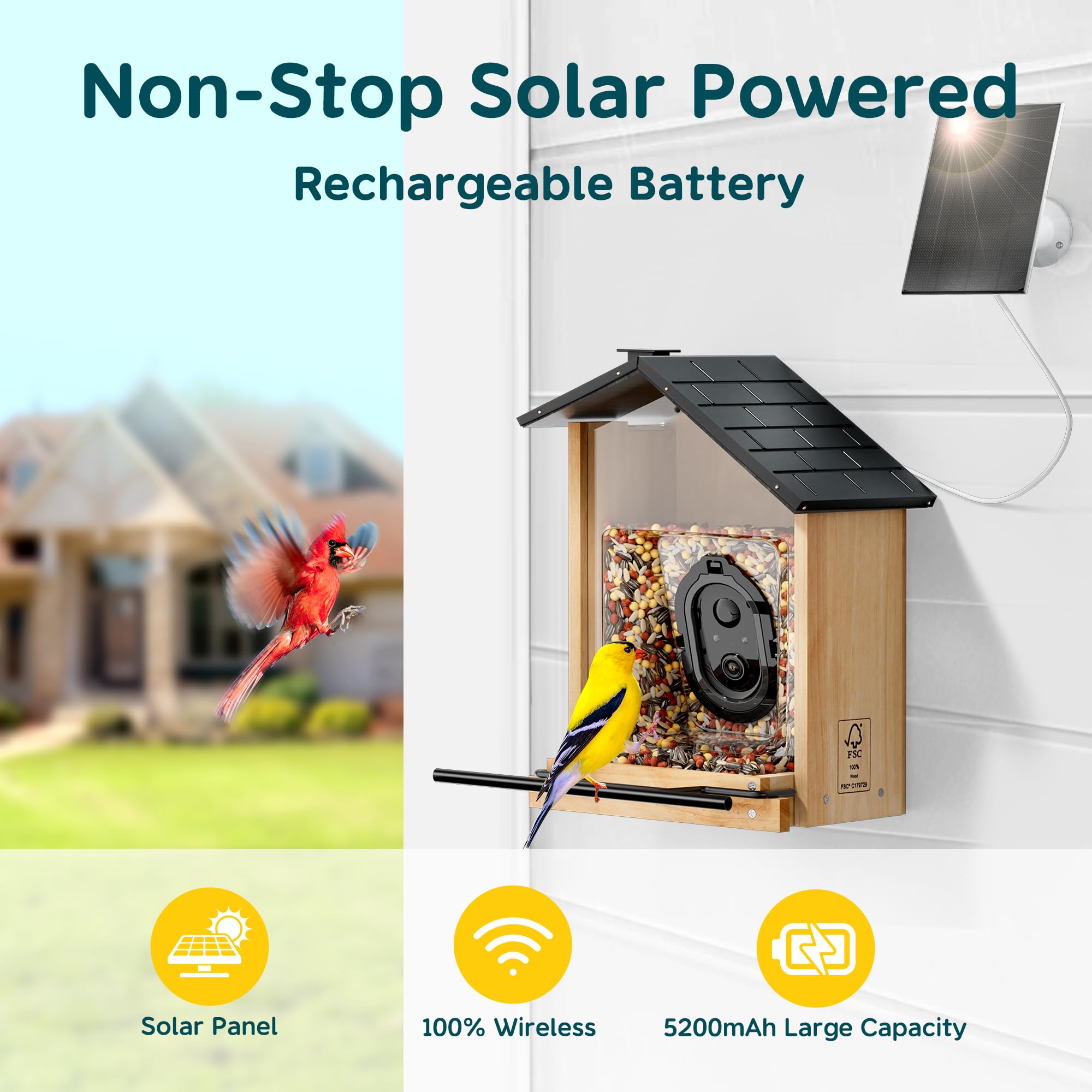Solar Powered Bird Feeder Camera with AI Recognition - 3L Capacity Smart Bird Feeder Identifies 10,000+ Species | Cloud Storage, Auto Capture & Instant Alerts | Perfect Gift for Bird Watchers | Ideal for Backyard Birding & Wildlife Observation