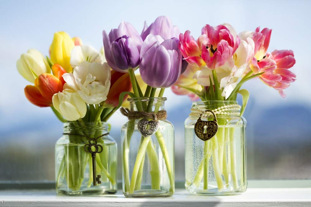 Colorful Tulips in Glass Vases with Decorative Pendants - Surrey, British Columbia Canada Wall Art Print 19x12 Inch - Perfect for Living Room, Bedroom & Office Decor