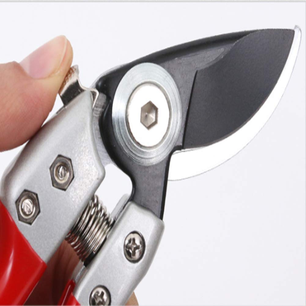 Heavy Duty Bypass Pruning Shears - Professional Garden Scissors for Trimming Trees, Shrubs, and Plants - Perfect for Landscaping, Gardening, and Outdoor Maintenance