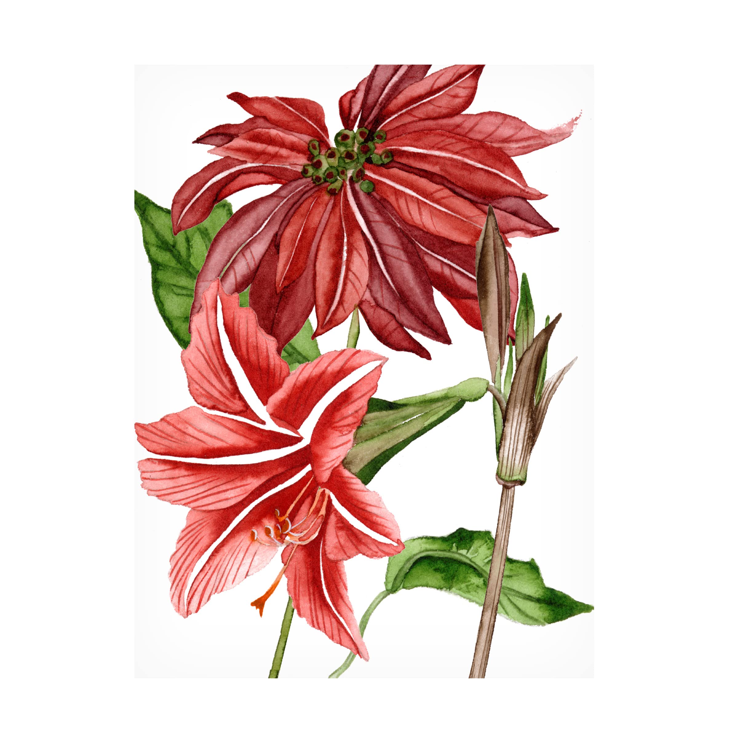 Trademark Fine Art 'Merry Blossom I' Canvas Wall Art by Melissa Wang - Floral Home Decor for Living Room, Bedroom & Office