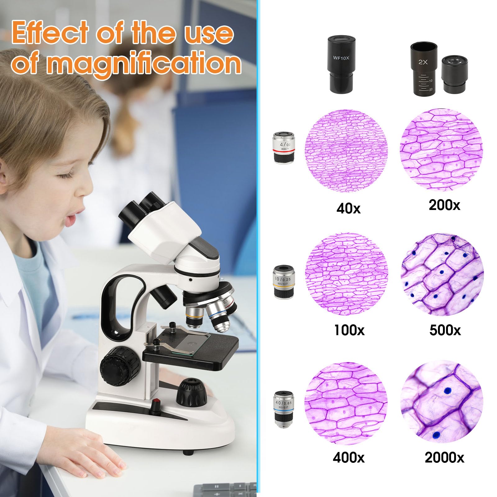High-Power Binocular Biological Microscope 40X-2000X Magnification with 2MP Camera & Slides Set - Ideal for Kids, Students & Adult Science Enthusiasts - Perfect for Home Lab Experiments, Classroom Learning & Scientific Research