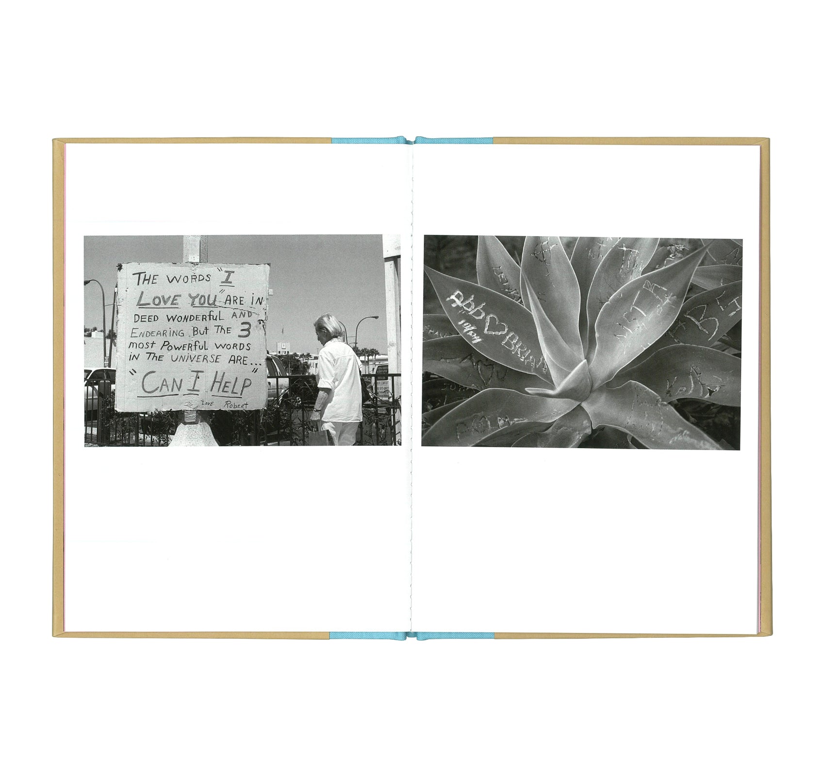 ONE PICTURE BOOK TWO #23: LOVE YOU by Deanna Templeton - Romantic Photography Book for Couples, Perfect Gift for Anniversaries & Valentine's Day