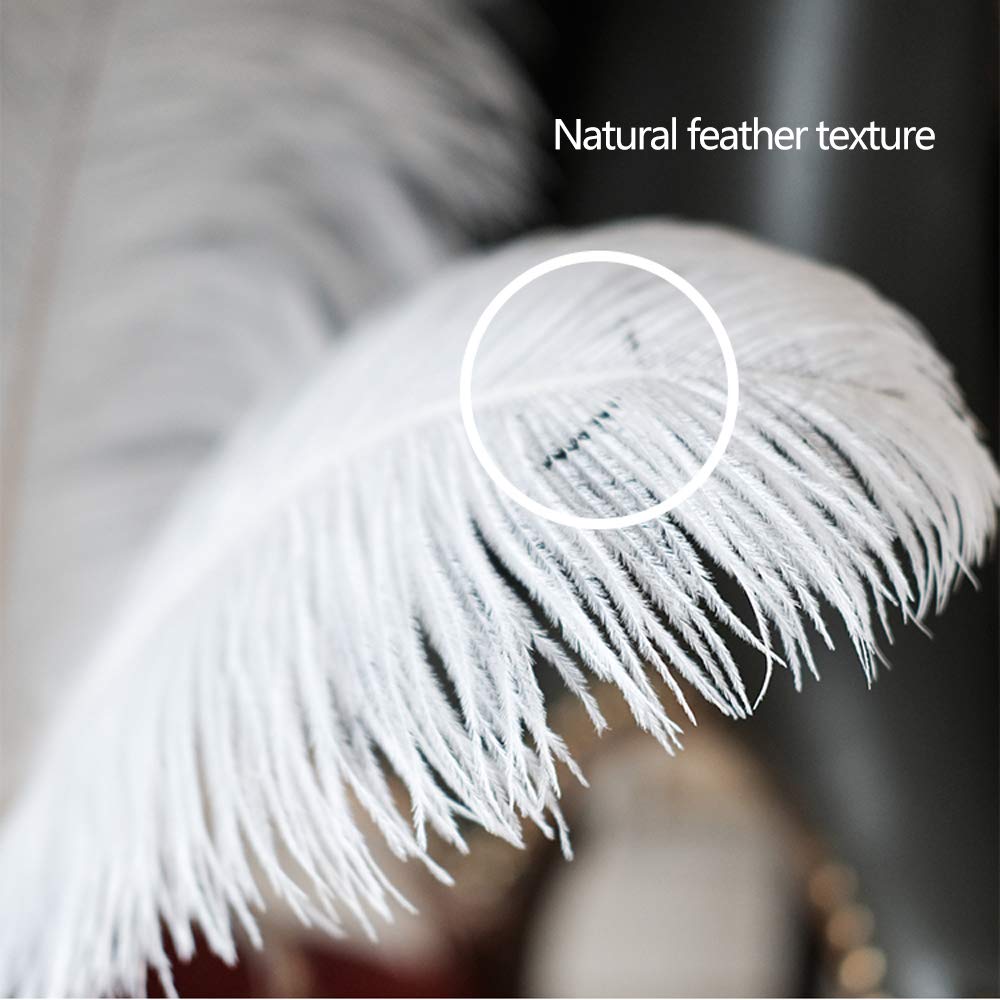Natural Ostrich Feathers 10-12 inch (25-30cm) - 10pcs White Decorative Feathers for Wedding Centerpieces, Home Decor, Flower Arrangements, DIY Crafts, Christmas Decorations - Perfect for Table Settings, Bouquets, and Party Decor