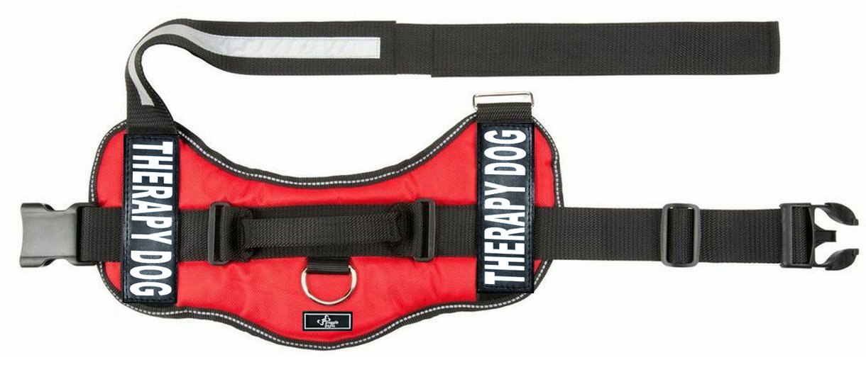 **Therapy Dog Harness with Removable Saddle Bag - Adjustable Pet Carrier Backpack for Travel, Hiking & Daily Walks - Includes 2 Removable Patches - Measure Before Ordering - by Doggie Stylz**