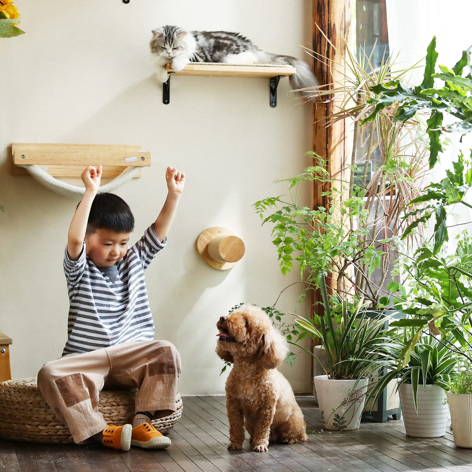 FUKUMARU Cat Wall Furniture Set - Cat Scratcher Mat, Climbing Shelf, Hammock & Wall Steps for Indoor Cats | Multi-Level Play, Sleep & Lounge Space for Kittens & Adult Cats | Perfect for Small Apartments & Cat Enrichment