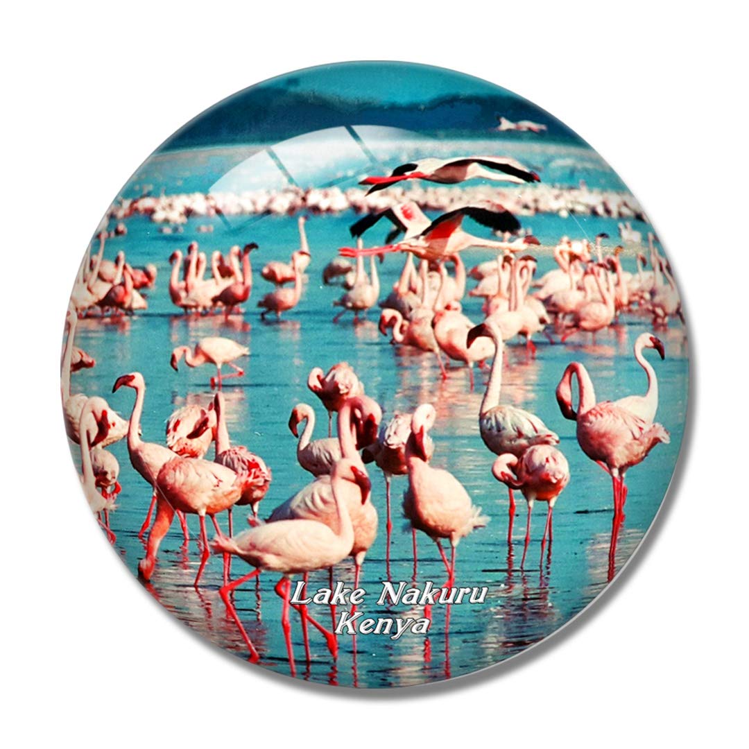 Kenya Pink Flamingo Lake Nakuru 3D Fridge Magnet - Crystal Glass Whiteboard Refrigerator Magnet Souvenir Gift for Travel Lovers, Home & Office Decoration