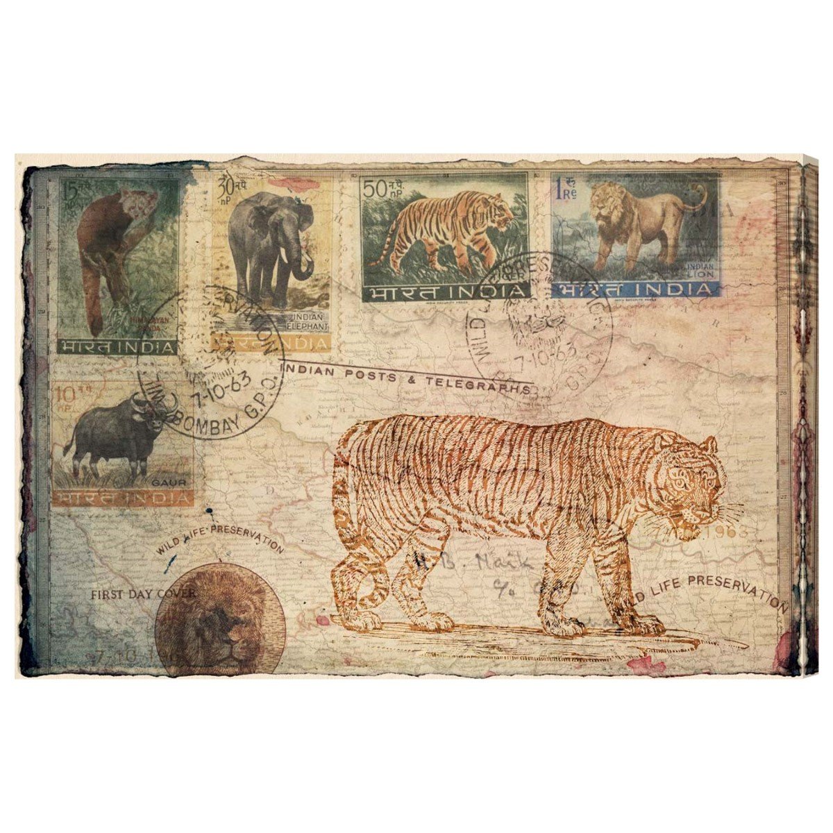 Oliver Gal Artist Co. Wildlife Preservation Animal Wall Art Canvas Print - 45