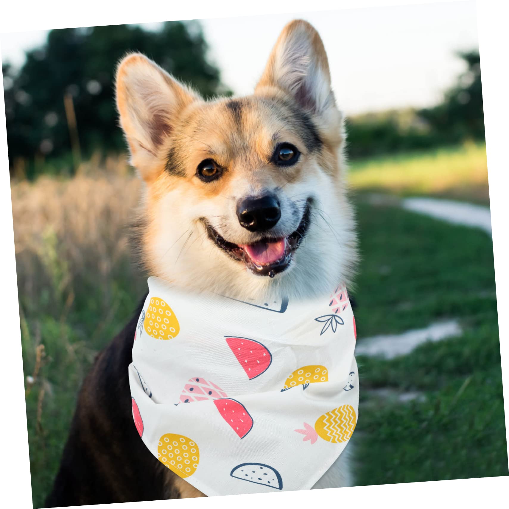 Kisangel Dog Bandana - Triangle Pet Bandana for Small & Large Dogs, Adjustable Dog Scarf for Parties, Holidays & Daily Wear - Cute Dog Outfit Accessory for Christmas, Halloween & Outdoor Adventures