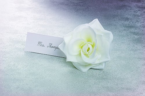 Wilton White Clip-On Fabric Rose - Elegant Artificial Flower for Hair, Wedding Bouquets, Home Decor & DIY Crafts