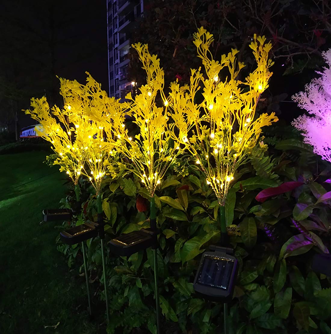 2 Pack Solar Garden Lights Outdoor - Waterproof Flower Solar Lights for Yard, Patio, Lawn & Pathway Decoration (Canola Flower Design) | Perfect for Backyard, Garden, Walkway & Landscape Lighting at Night