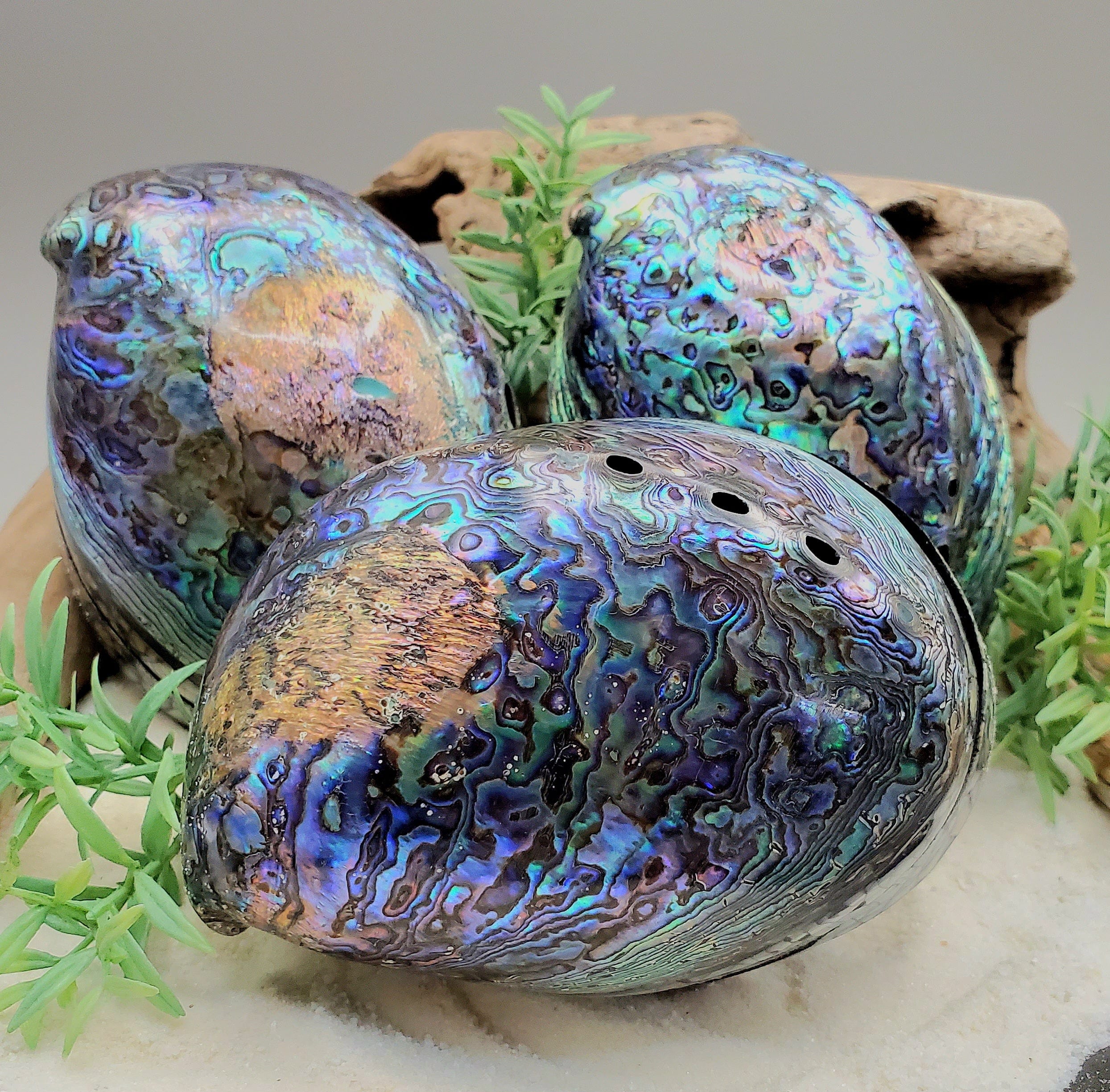 Exquisite Abalone Shell Jewelry Box - Handmade Mother of Pearl Trinket Dish for Rings, Earrings & Small Treasures - Perfect for Home Decor, Gift Giving & Boho Style Organizers