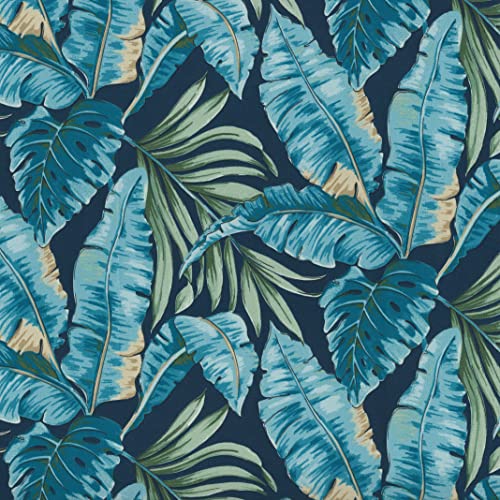 Blue Tortola Midnight