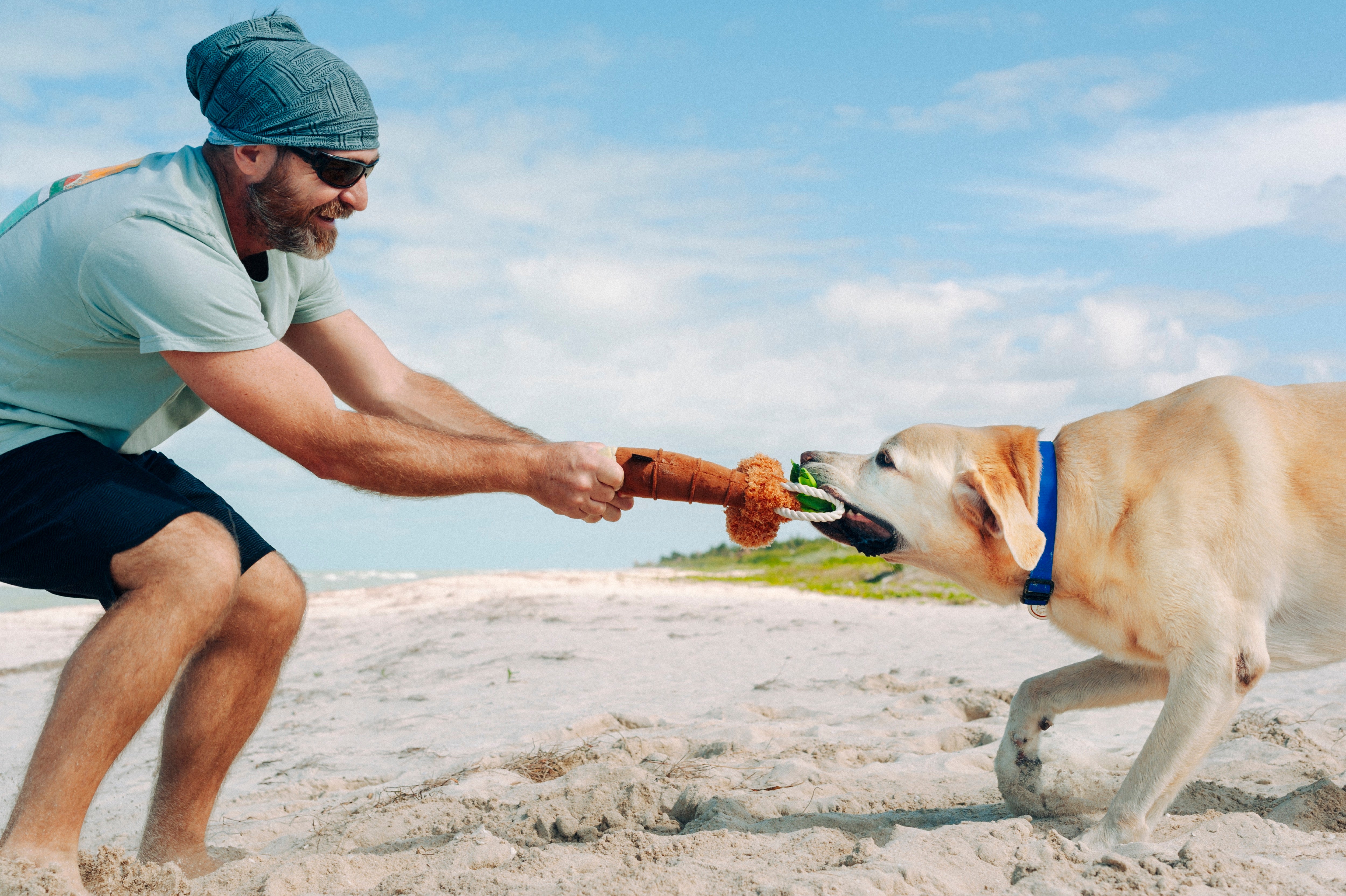 Tropical Paradise™ Dog Plush Toy - La Palma Soft Chew Toy for Dogs | Durable & Safe Pet Play | Perfect for Indoor & Outdoor Playtime