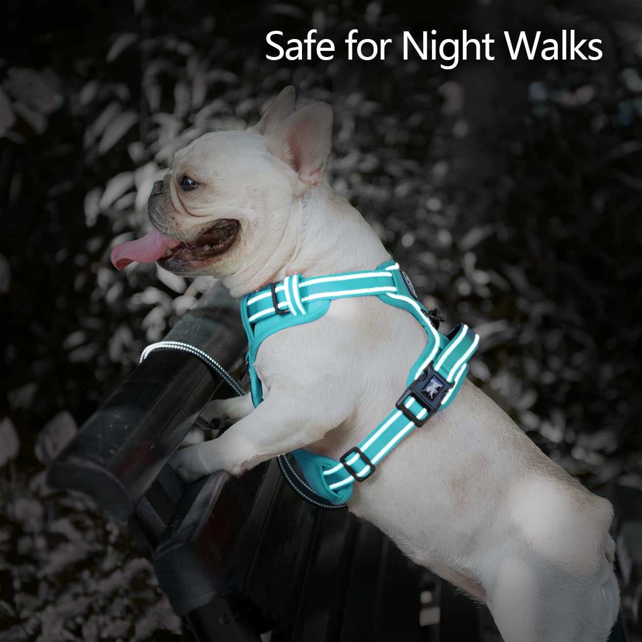PoyPet No Pull Dog Harness - Reflective Adjustable Pet Vest with Padded Handle for Small Medium Large Dogs - Comfortable & Safe for Walking, Running, Hiking (Mint Blue with Matching Trim, XS) - Perfect for Daily Walks, Outdoor Adventures & Nighttime Safety