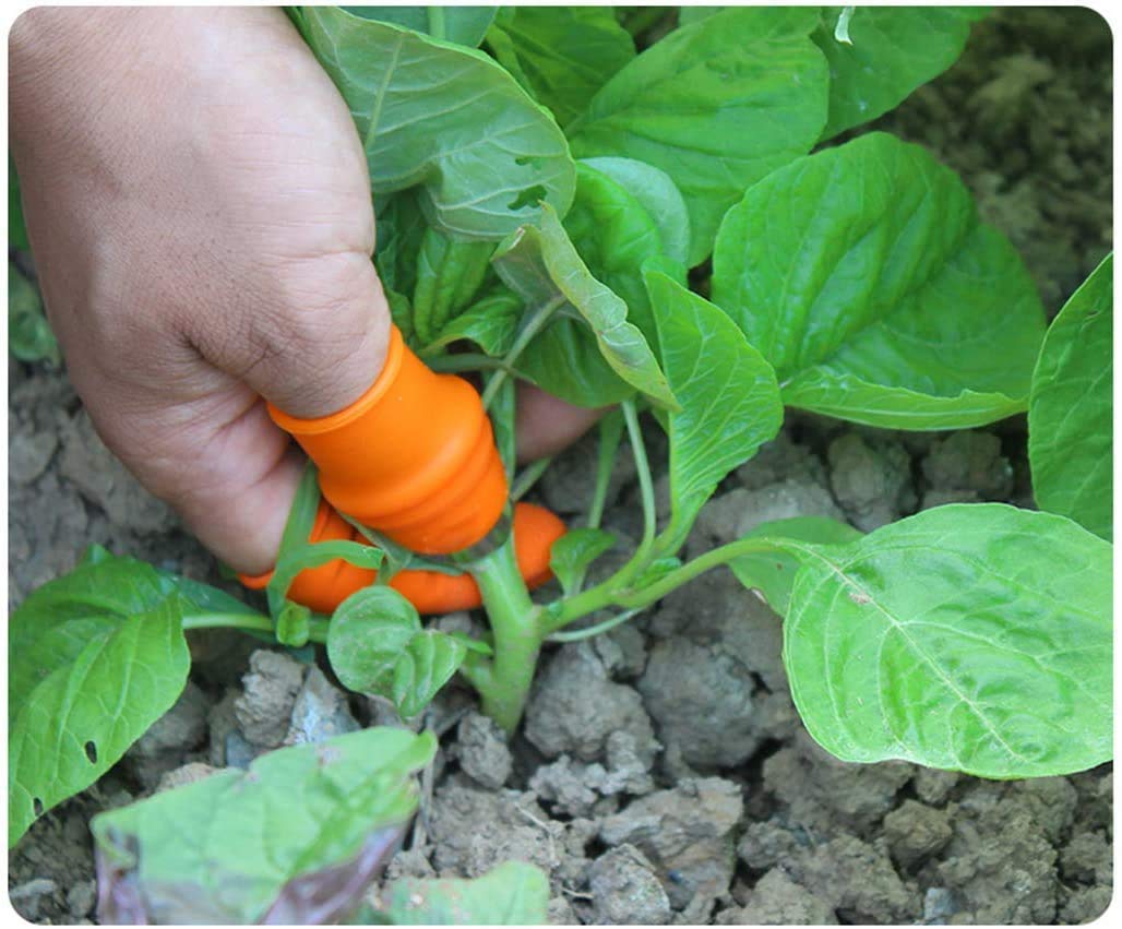 KAAS Thumb Knife - Ergonomic Finger Knife for Kitchen | Garlic Peeler, Vegetable Cutter & Food Prep Tool | Perfect for Home Cooking, Camping & Outdoor Activities