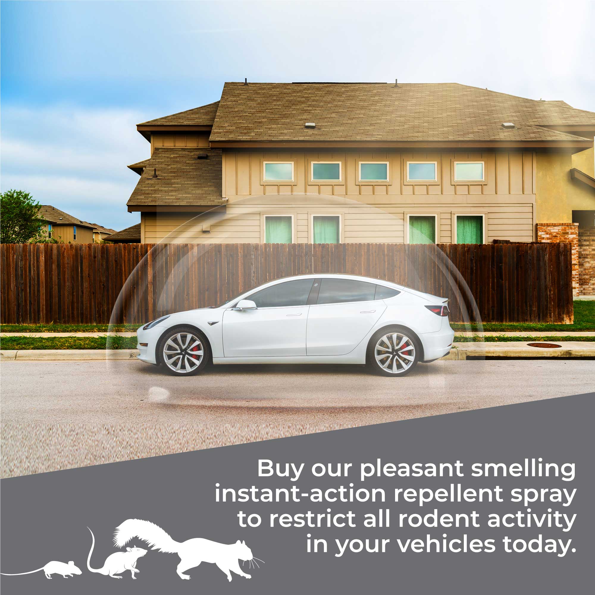 Natural Rodent Repellent for Cars - Vehicle Protection Against Mice & Rats | Keep Your Car Safe from Rodent Damage