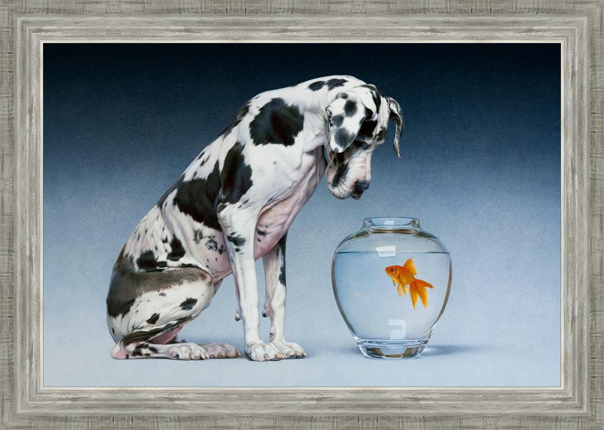 Dane And Fish By Chris Young - Premium Fishing Gear & Accessories for Outdoor Enthusiasts | Perfect for Freshwater & Saltwater Fishing Adventures