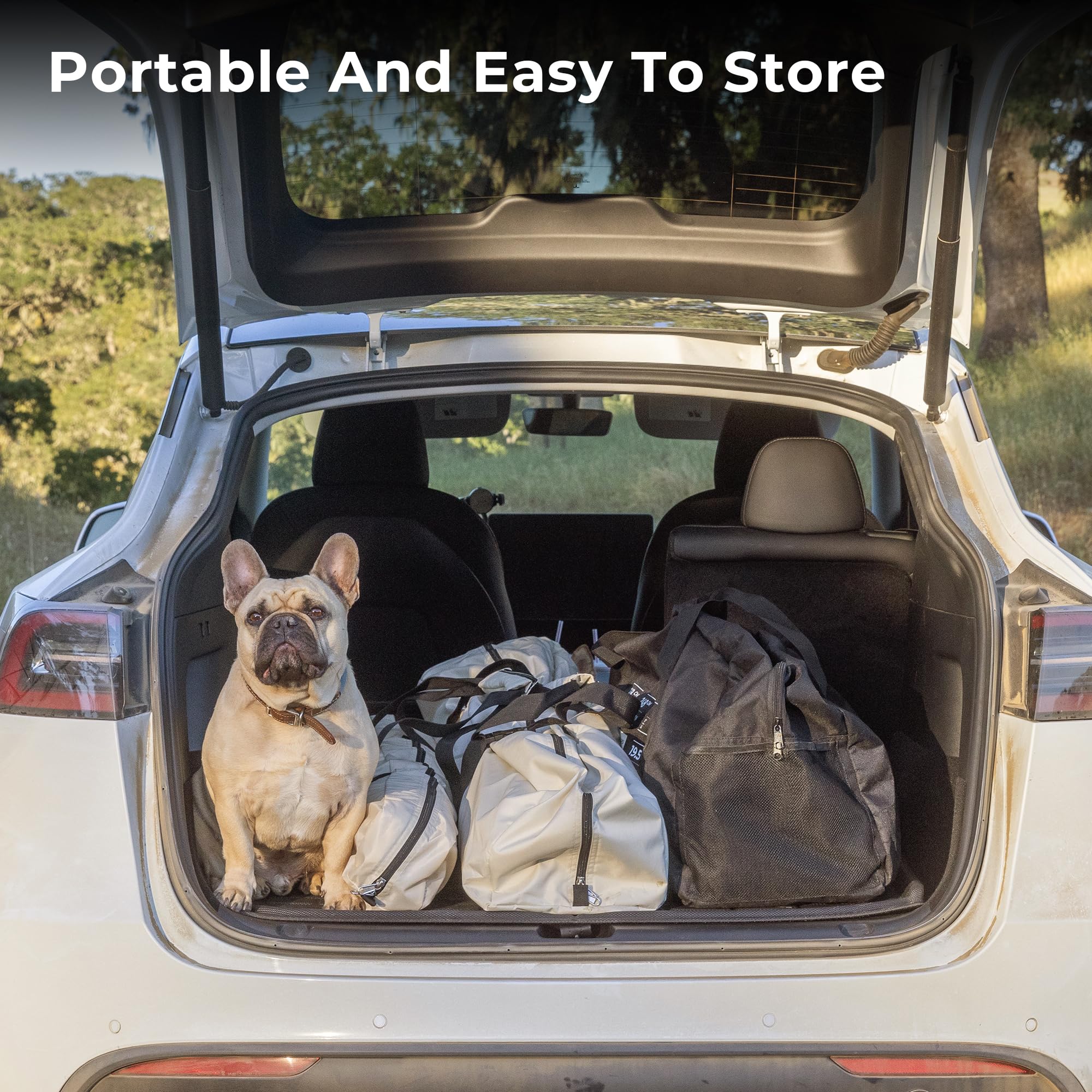 ACACIA 2-3 Person Pop Up Camping Tent with 8 Windows & Footprint - Waterproof Windproof Easy Setup Hub Tent for Family Camping, Hiking, Glamping - Perfect for Outdoor Adventures, Backpacking & Weekend Getaways
