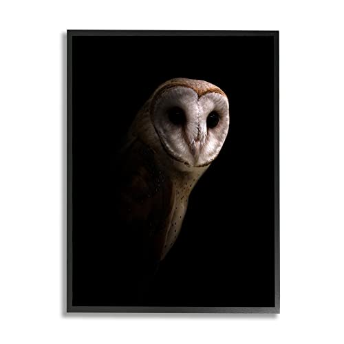 Black Framed