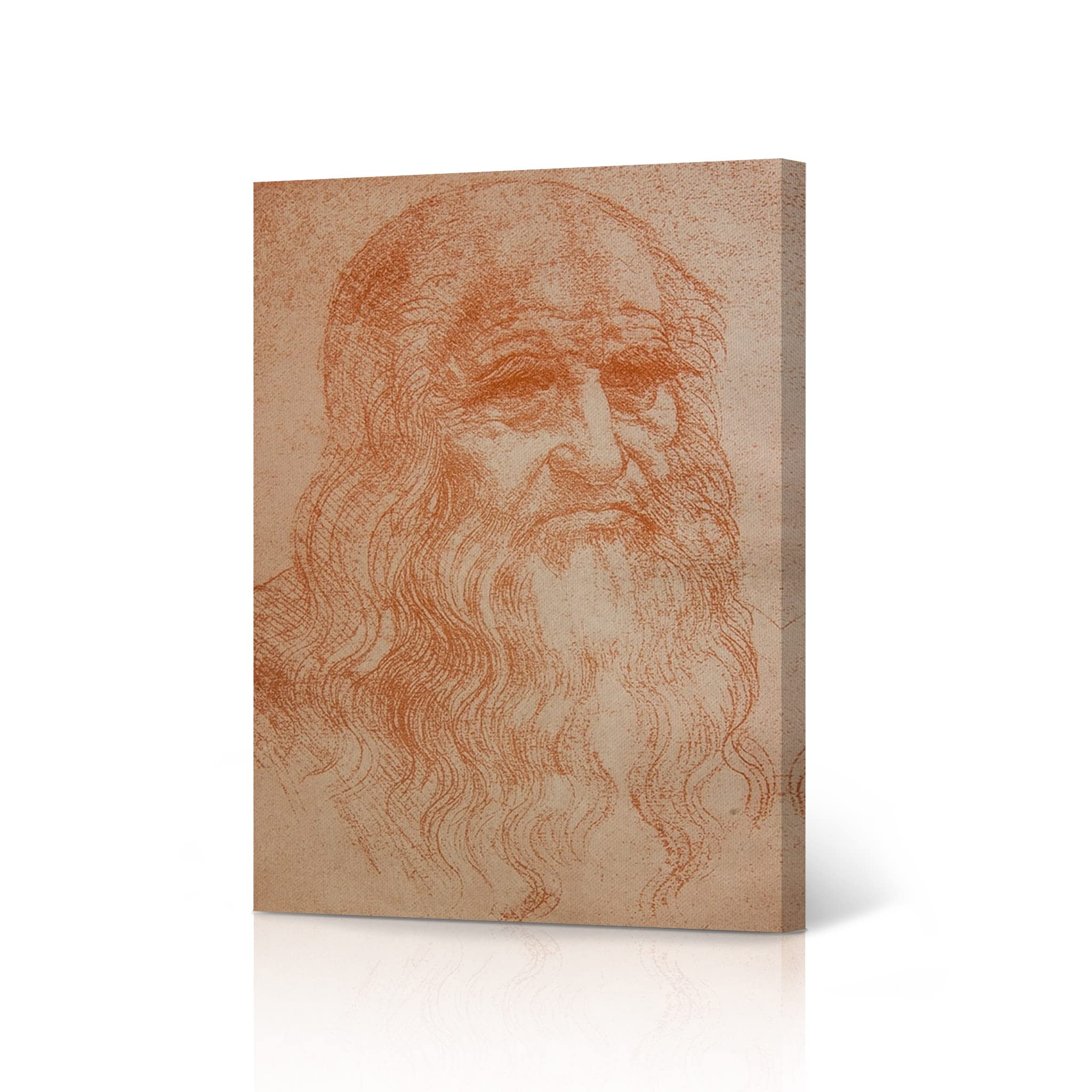 Leonardo Da Vinci Self Portrait in Red Chalk - Famous Renaissance Art Masterpiece Canvas Wall Art Print (36x24 Inch) - Ready to Hang for Office, Living Room, Bedroom & Home Decor | Perfect Gift for Art Lovers & Classic Painting Enthusiasts